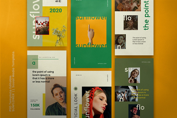 Sunflower - Social Media Bundle in Instagram Templates - product preview 2