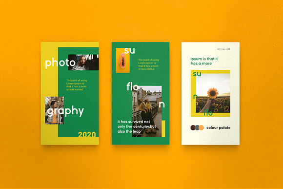 Sunflower - Social Media Bundle in Instagram Templates - product preview 12