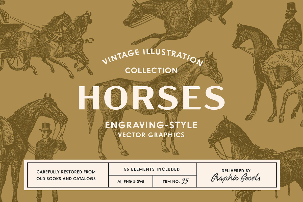 Horses - Vintage Illustration Set in Illustrations - product preview 8