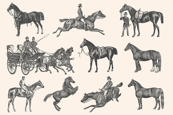 Horses - Vintage Illustration Set in Illustrations - product preview 7