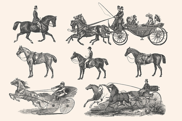 Horses - Vintage Illustration Set in Illustrations - product preview 11