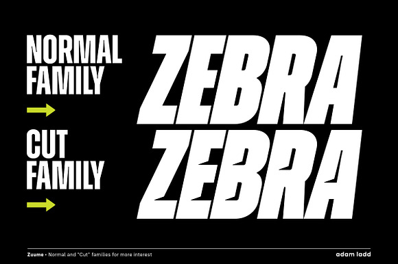 Zuume Font Family in Sans-Serif Fonts - product preview 6