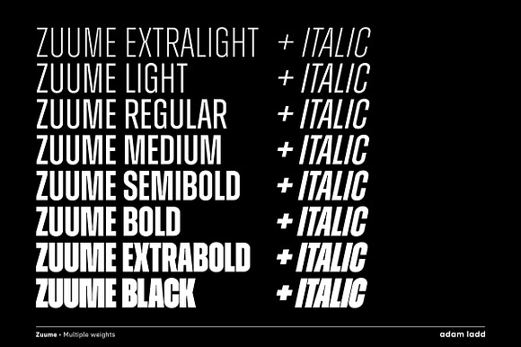 Zuume Font Family in Sans-Serif Fonts - product preview 10