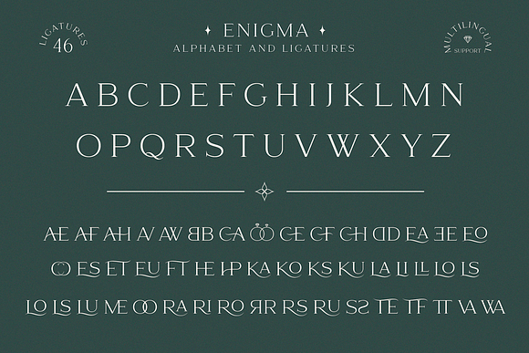 Enigma in Serif Fonts - product preview 11