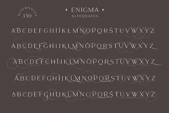 Enigma in Serif Fonts - product preview 12