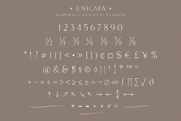 Enigma in Serif Fonts - product preview 13