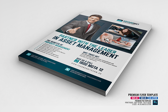 Real Estate Development Flyer in Flyer Templates - product preview 1
