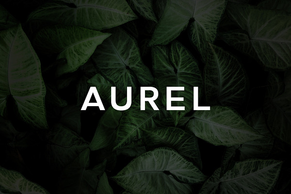 Aurel - An Open Sans Serif Typeface