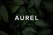 Aurel - An Open Sans Serif Typeface