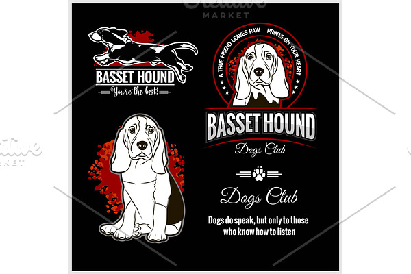 Basset Hound - vector set for t