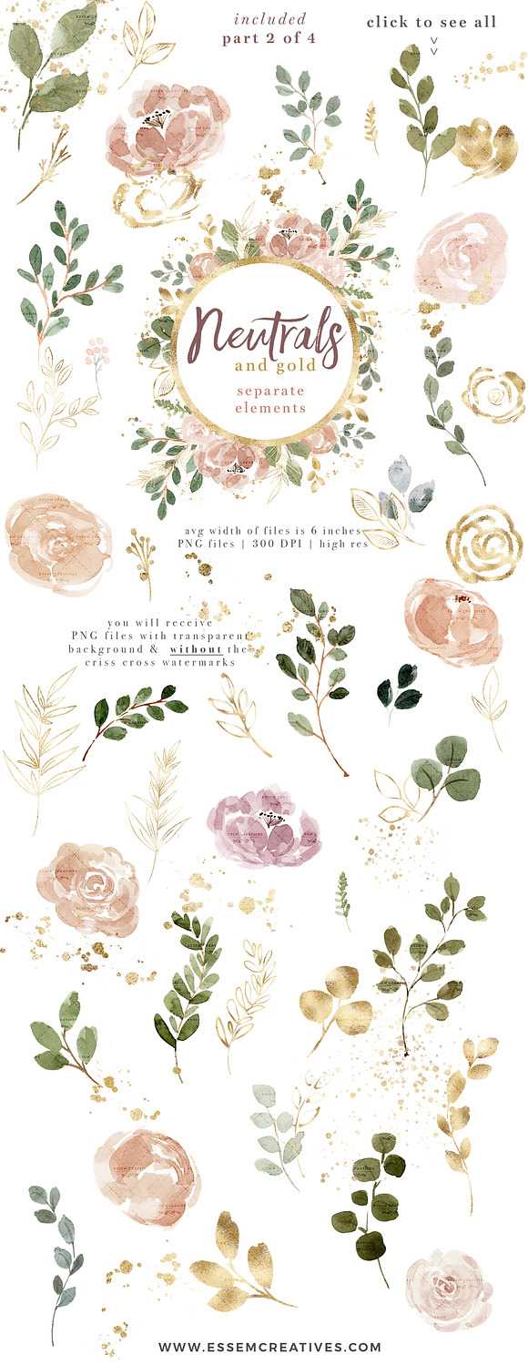 Neutral Watercolor Florals with Gold in Illustrations - product preview 4
