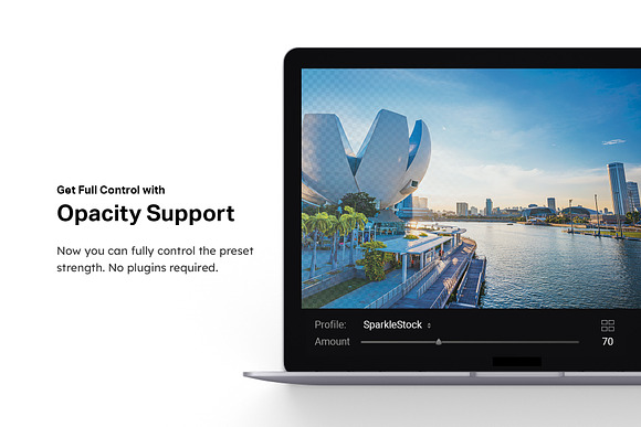 50 Singapore Lightroom Presets LUTs in Add-Ons - product preview 8