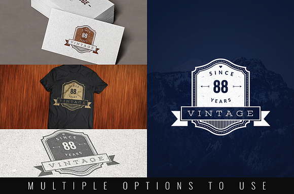 Vintage Logo Templates vol 1 in Logo Templates - product preview 1