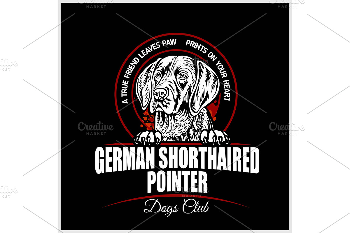 German Shorthaired Pointer - vector in Illustrations - product preview 8