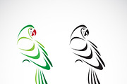 Vector of two parrot. Animal. Birds.