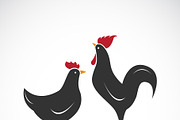 Vector of male and female chickens.