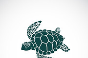 Vector of turtle design. Wild Animal