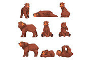 Cute Brown Bear Collection, Wild