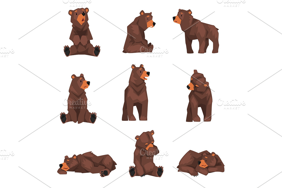 Cute Brown Grizzly Bear Collection in Illustrations - product preview 8