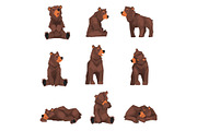 Cute Brown Grizzly Bear Collection