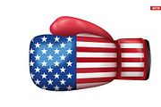 Boxing gloves with USA Flag