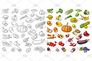 Set vegetable fruit engraving