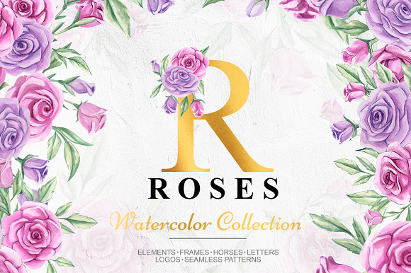 Roses in Illustrations - product preview 5