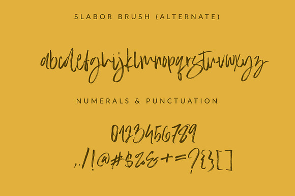 Slabor Brush Font in Script Fonts - product preview 5