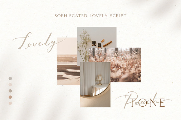 Sophiscated - A Lovely Script Font in Script Fonts - product preview 1