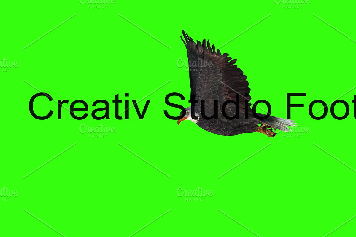 Bald eagle flies on a Green Screen. in Graphics - product preview 8