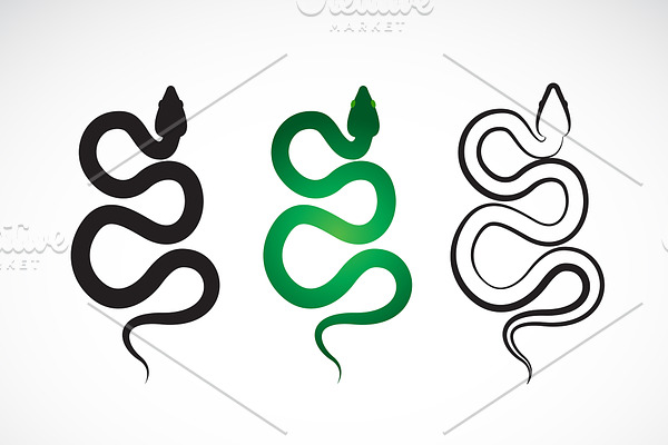 Vector of snake. Animals. Reptile.