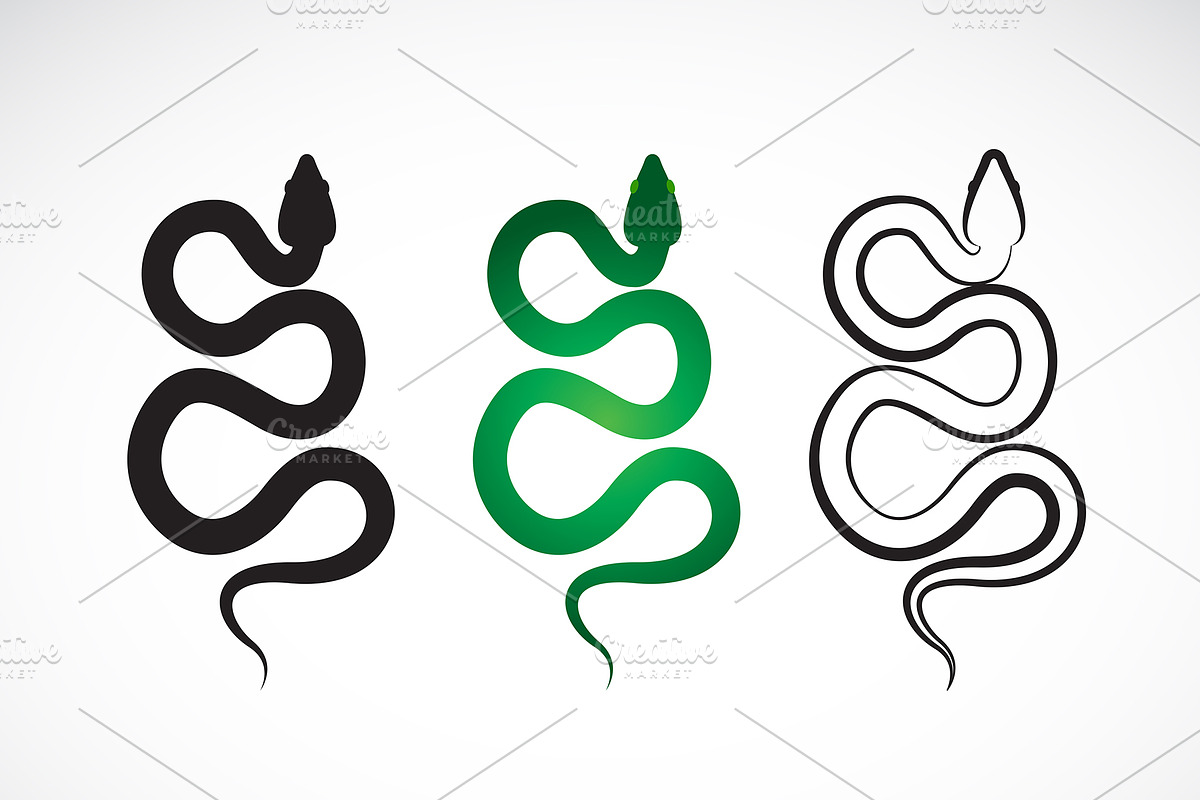 Vector of snake. Animals. Reptile. in Icons - product preview 8