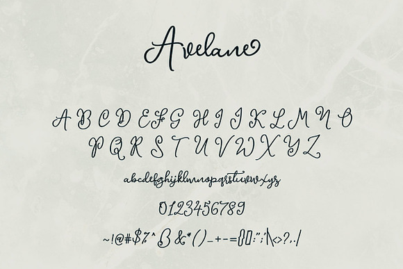 Avelane Script Font in Script Fonts - product preview 4