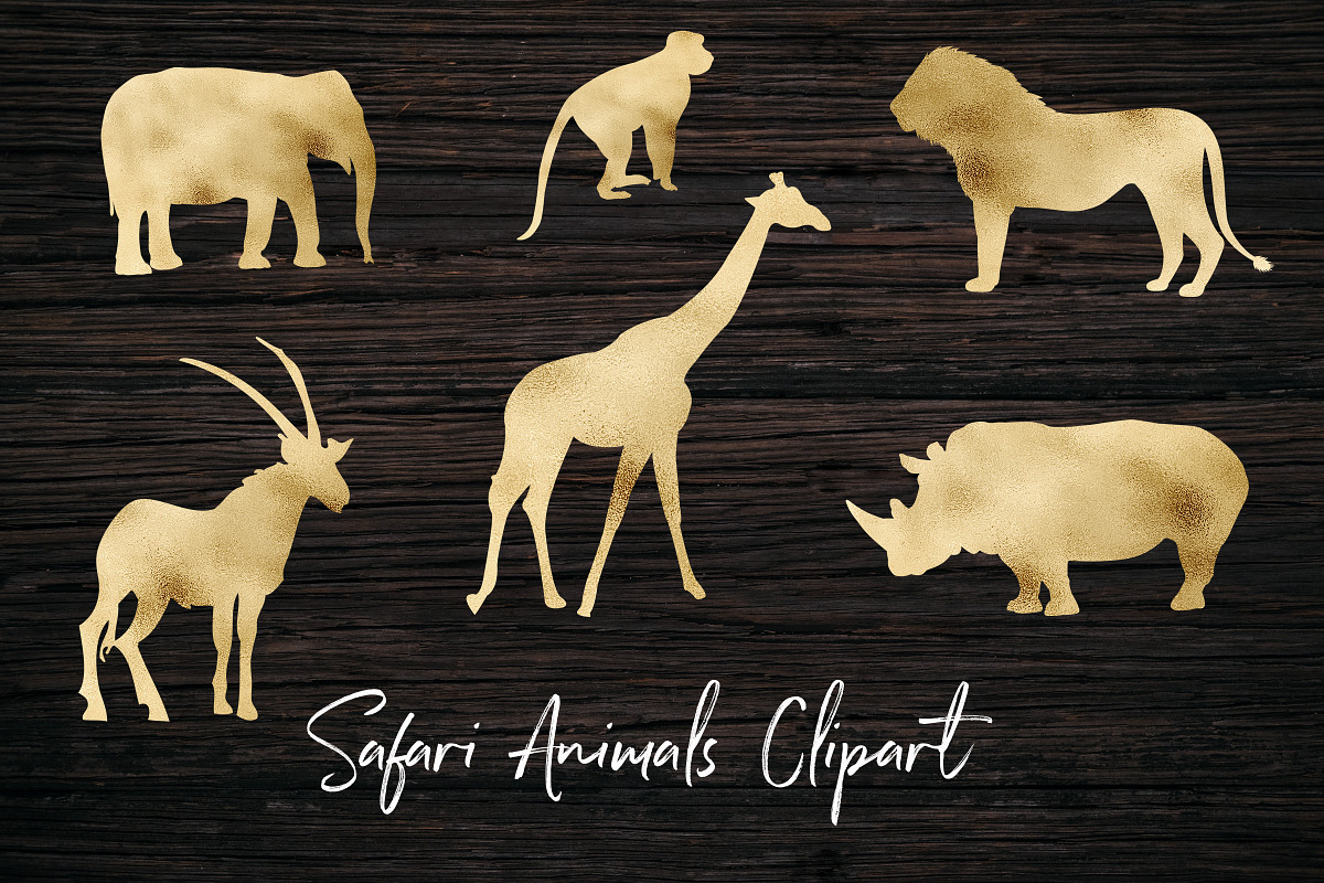 Safari Animals Clipart in Graphics - product preview 8