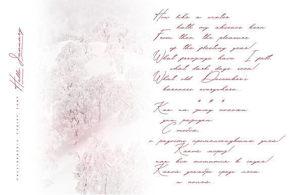 Hello January cursive font Cyrillic in Script Fonts - product preview 11