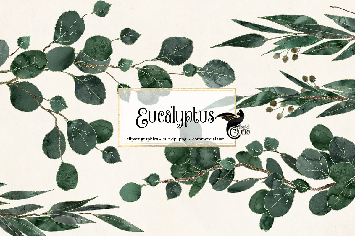 Eucalyptus Clipart in Illustrations - product preview 8