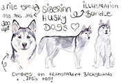 Siberian Husky Illustration Bundle