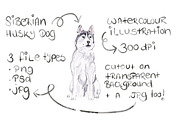 Siberian Husky Dog Illustration