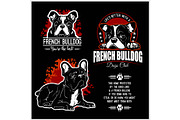 French Bulldog - vector set for t