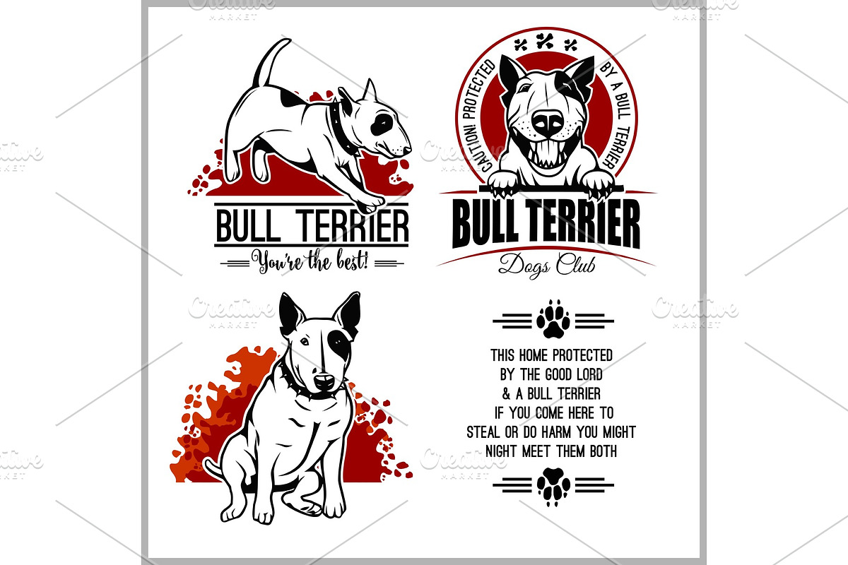 Bull Terrier - vector set for t in Illustrations - product preview 8