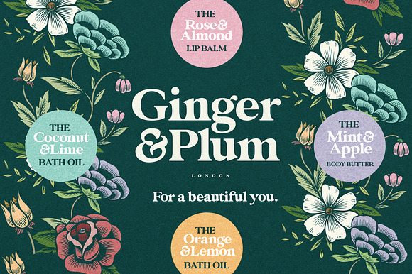 Glamour Absolute Modern/Vintage Font in Serif Fonts - product preview 3