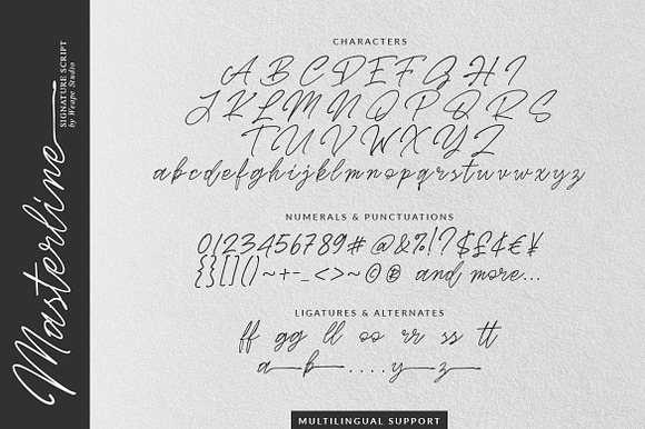 Masterline - Signature Script in Script Fonts - product preview 4