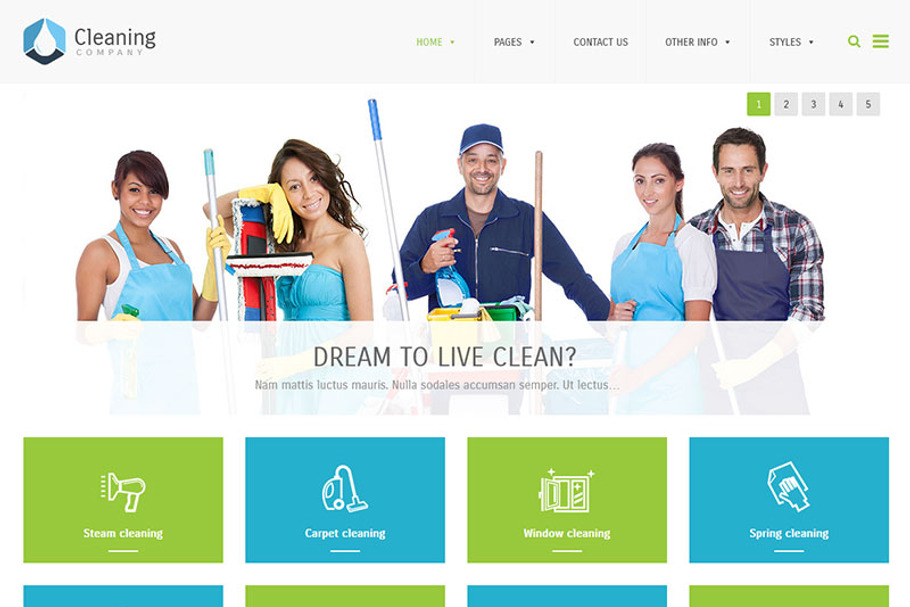 Cleaning Company - WordPress Theme