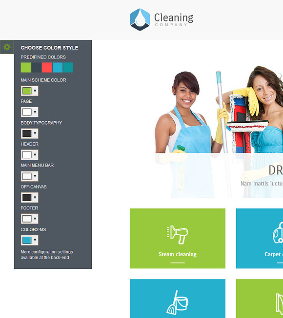 Cleaning Company - WordPress Theme in WordPress Business Themes - product preview 1