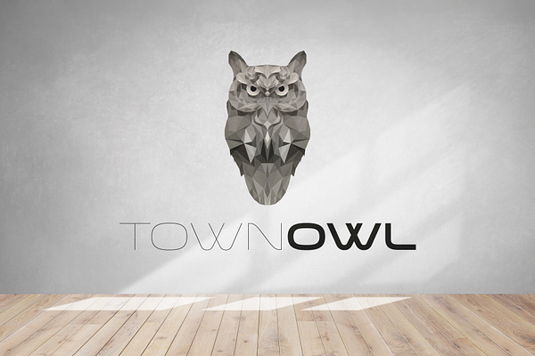 Town Owl Logo Design