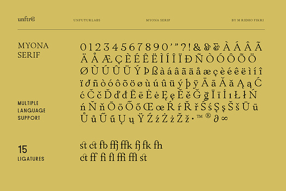 Myona Serif & Elfani Script + Extra in Display Fonts - product preview 14