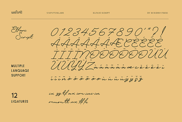 Myona Serif & Elfani Script + Extra in Display Fonts - product preview 15