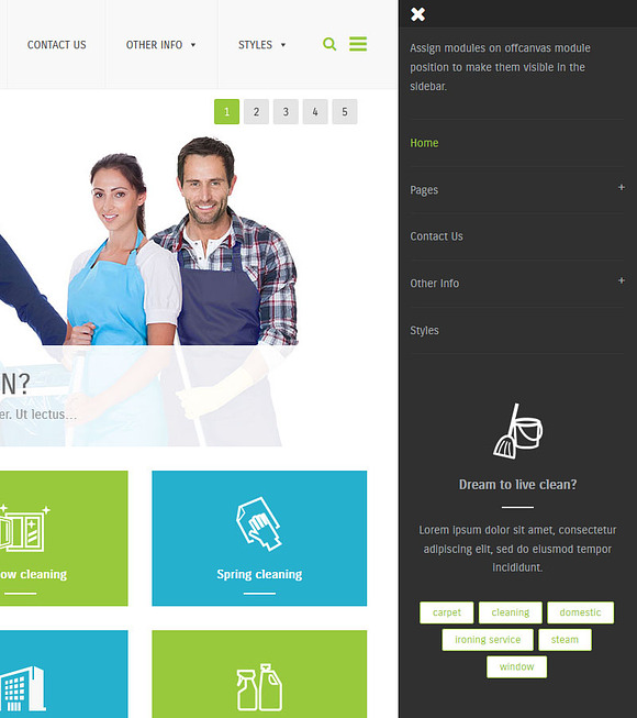 Cleaning Company - WordPress Theme in WordPress Business Themes - product preview 3