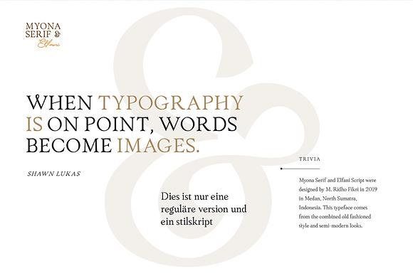 Myona Serif & Elfani Script + Extra in Display Fonts - product preview 16
