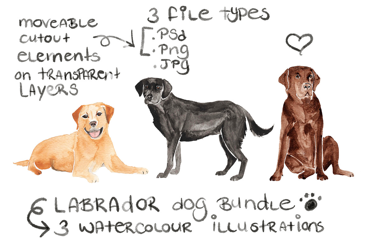 Labrador Dog Illustration Bundle in Illustrations - product preview 8